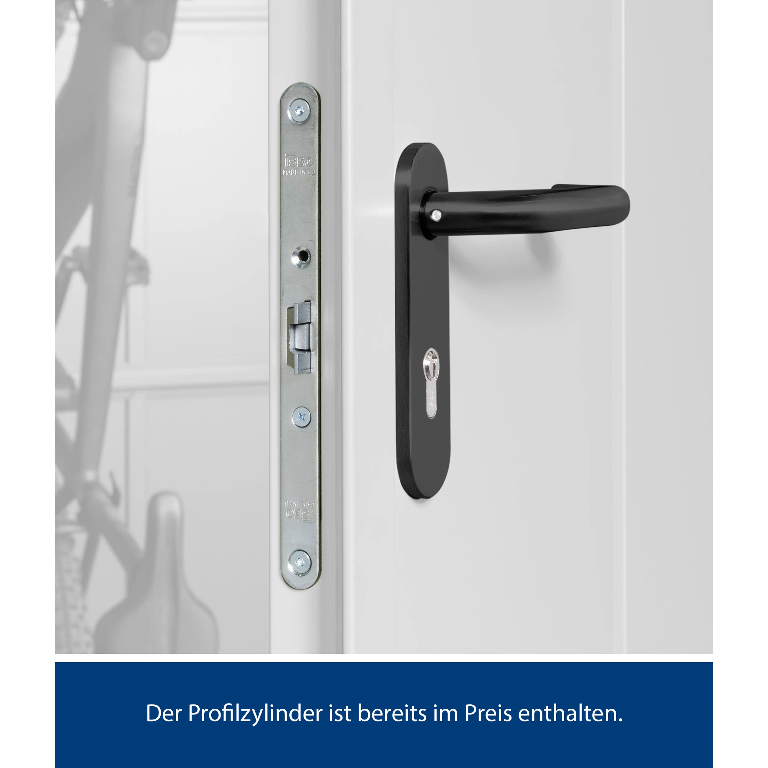 Set Berry Modern-P,Typ 2 Gerätehaus-Weißaluminium - Image 7